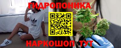 ALPHA PVP Будённовск