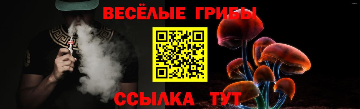Псилоцибиновые грибы Psilocybine cubensis  Вход с VPN  Сарапул 